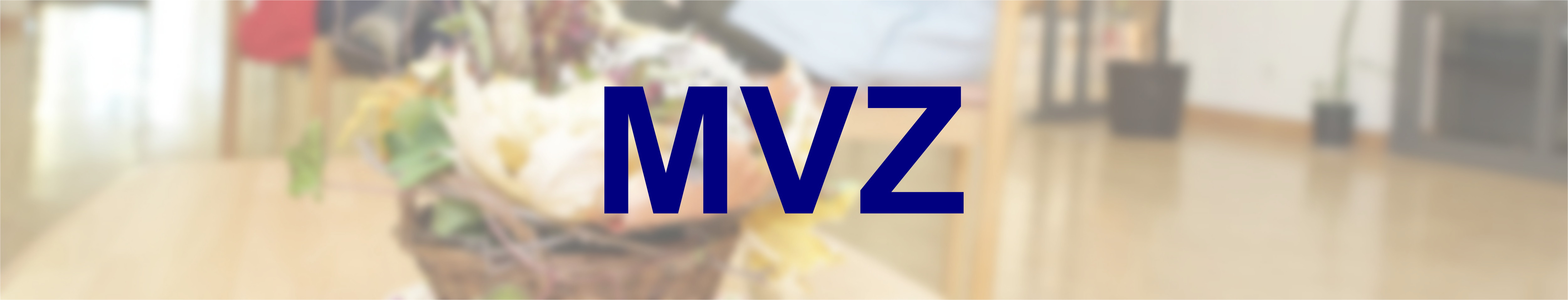 Headerbild: MVZ Medizinische Versorgungszentren Landkreis Leipzig gemeinnützige GmbH